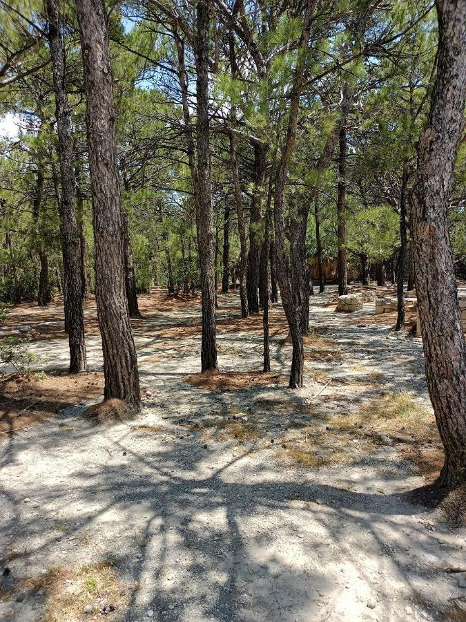 הוילה Makrýgialos Sea View Pine House מראה חיצוני תמונה