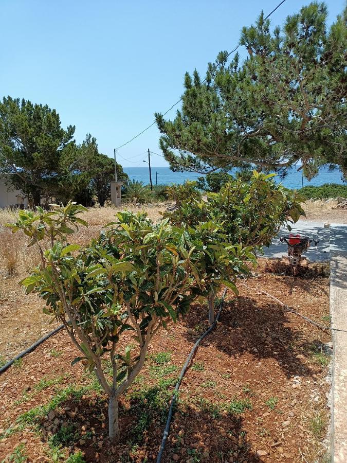 הוילה Makrýgialos Sea View Pine House מראה חיצוני תמונה